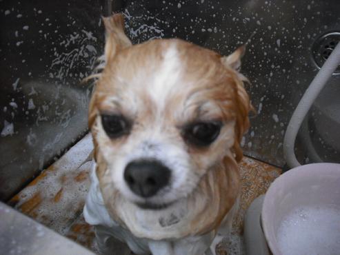 ファイル 1403-2.jpg