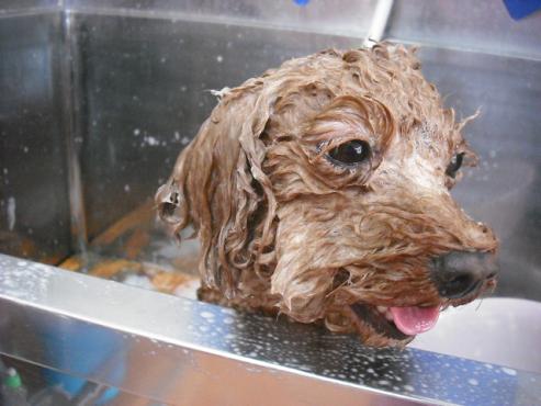 ファイル 1404-3.jpg