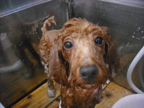 ファイル 1405-3.jpg