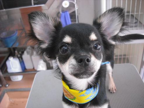 ファイル 1406-1.jpg