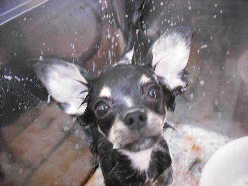 ファイル 1406-3.jpg