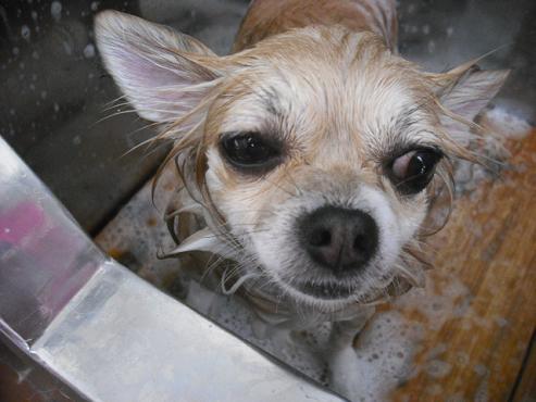 ファイル 1407-3.jpg