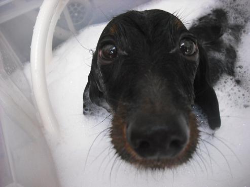 ファイル 1408-3.jpg