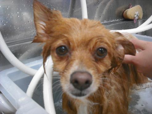 ファイル 1409-2.jpg