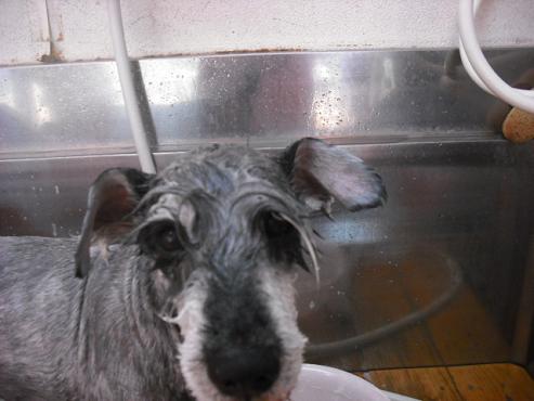 ファイル 141-2.jpg