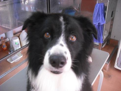 ファイル 1410-1.jpg