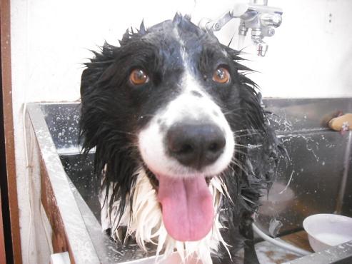 ファイル 1410-2.jpg