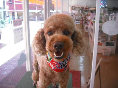 ファイル 1411-1.jpg