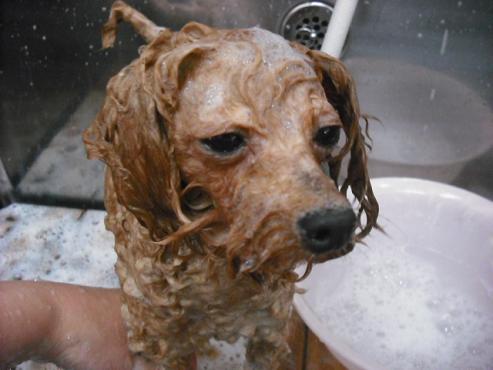 ファイル 1412-3.jpg