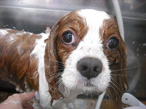 ファイル 1413-3.jpg