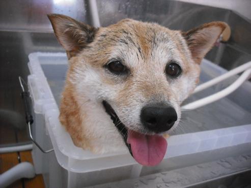 ファイル 1414-3.jpg