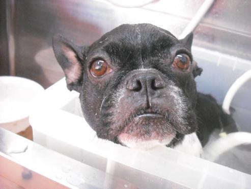 ファイル 1415-2.jpg