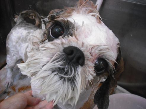 ファイル 1416-3.jpg