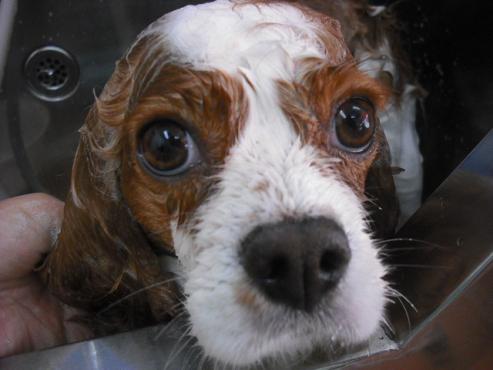 ファイル 1417-3.jpg