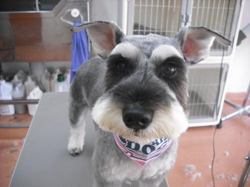 ファイル 1418-1.jpg