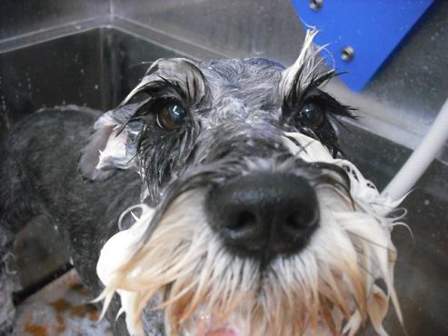 ファイル 1418-2.jpg