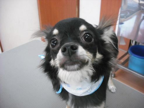 ファイル 1419-3.jpg