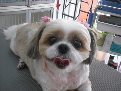 ファイル 142-1.jpg