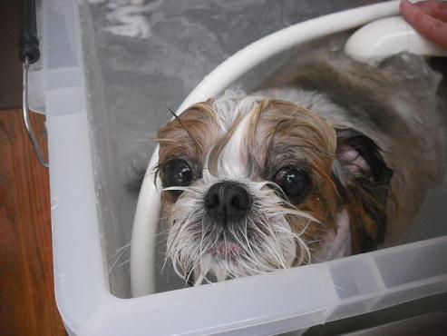 ファイル 142-2.jpg