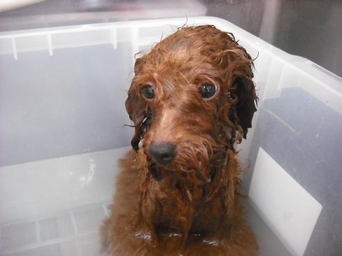 ファイル 1420-3.jpg