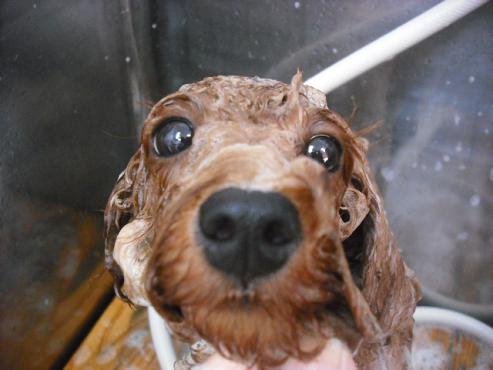 ファイル 1421-3.jpg