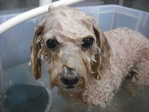 ファイル 1422-3.jpg