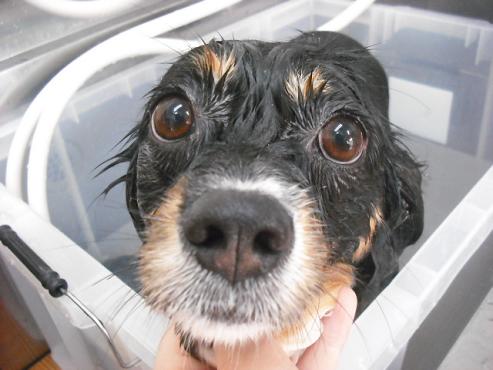 ファイル 1423-2.jpg