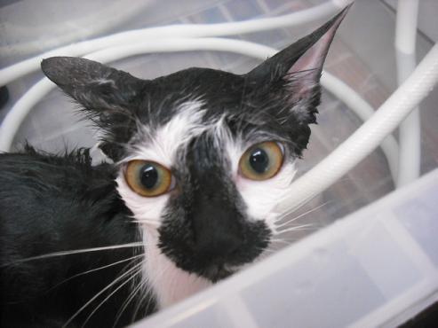 ファイル 1424-2.jpg