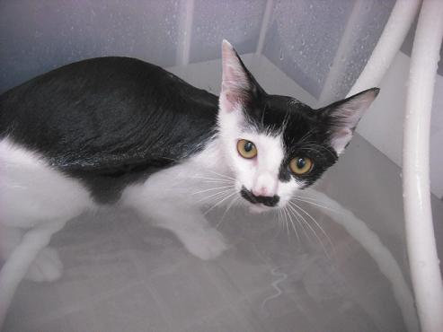 ファイル 1425-3.jpg