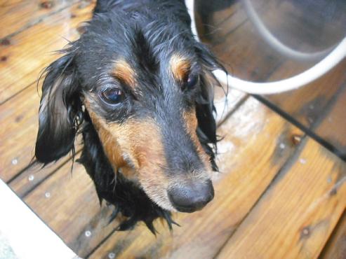 ファイル 1427-2.jpg