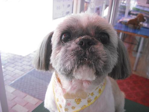 ファイル 1429-1.jpg