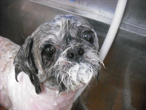 ファイル 1429-3.jpg