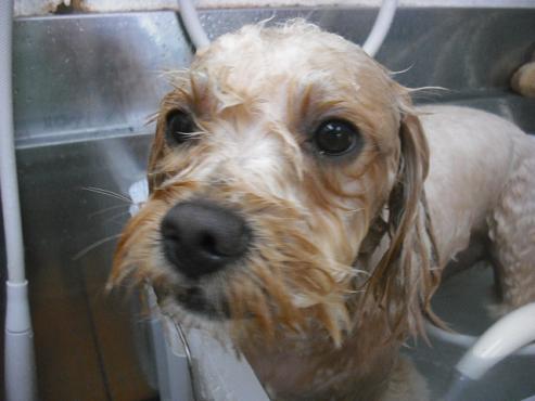 ファイル 1430-3.jpg