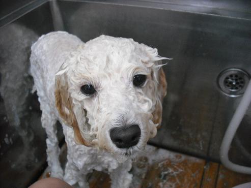 ファイル 1431-2.jpg