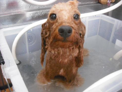 ファイル 1432-3.jpg