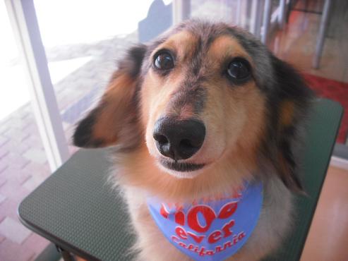 ファイル 1434-1.jpg