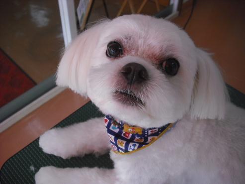 ファイル 1435-1.jpg