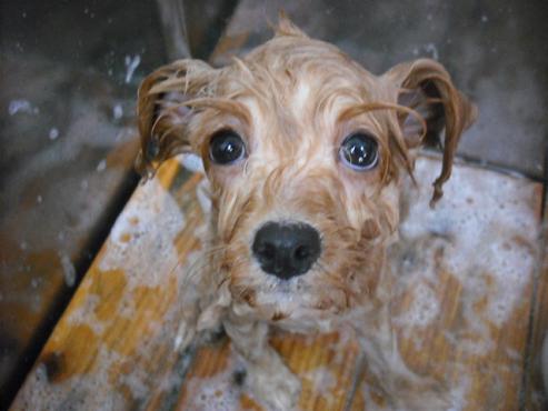 ファイル 1437-2.jpg