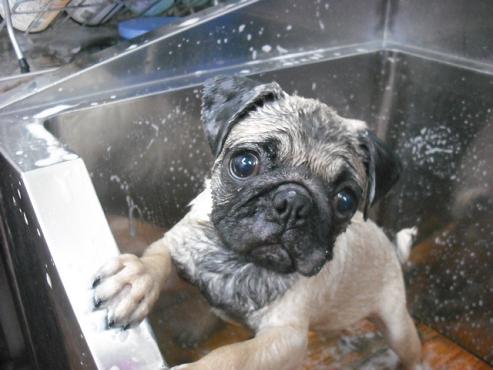 ファイル 1438-2.jpg