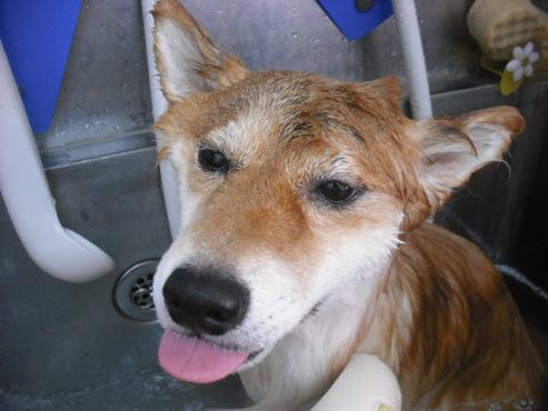 ファイル 1439-2.jpg