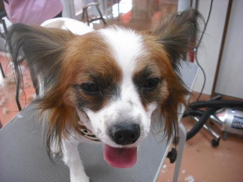 ファイル 144-1.jpg