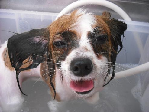 ファイル 144-2.jpg