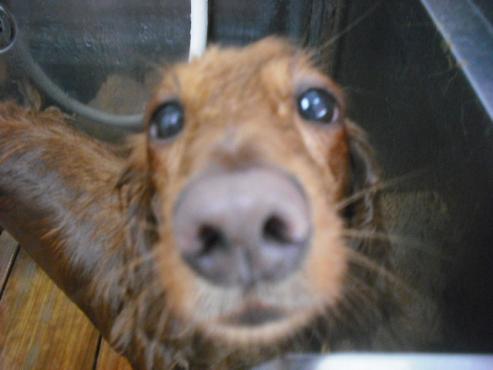 ファイル 1440-2.jpg