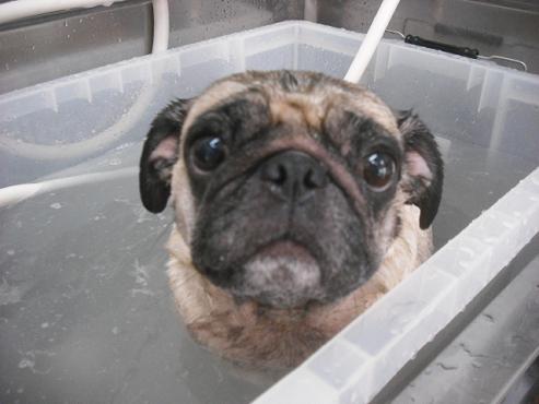 ファイル 1441-2.jpg