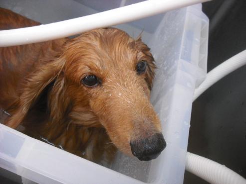 ファイル 1442-3.jpg