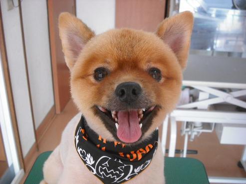 ファイル 1443-1.jpg