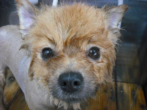 ファイル 1443-2.jpg