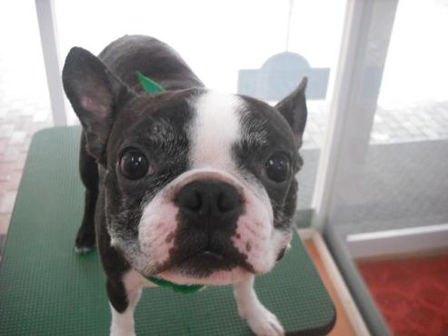 ファイル 1444-1.jpg