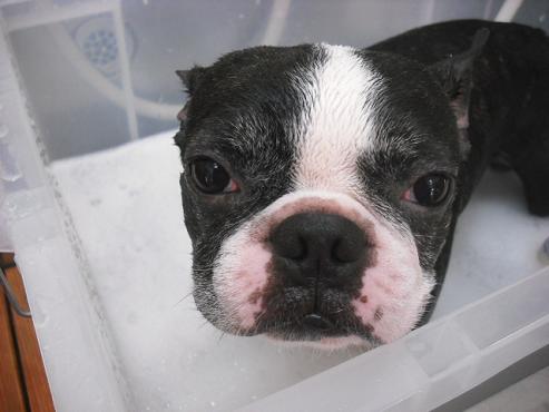 ファイル 1444-2.jpg