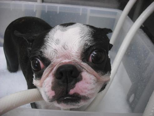 ファイル 1445-3.jpg